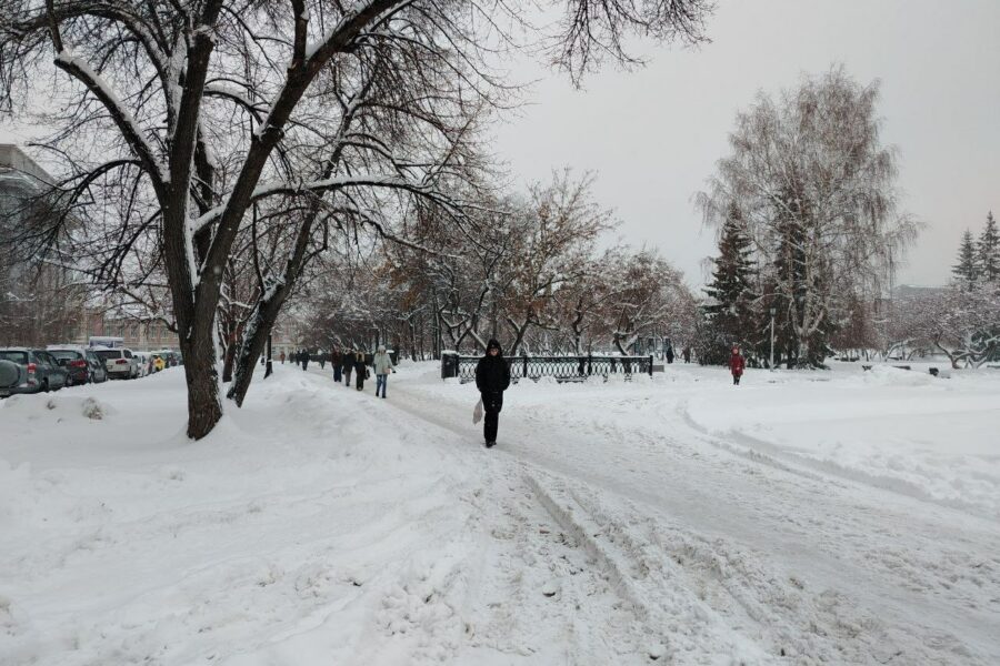 В Новосибирске на выходных ожидаются снегопады и потепление