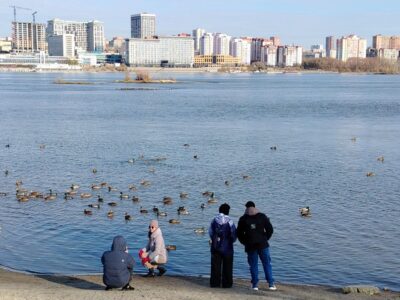 Канатную дорогу через Обь планируют создать в Новосибирске