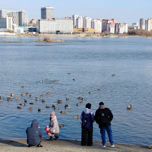 Канатную дорогу через Обь планируют создать в Новосибирске