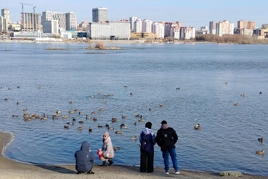 Канатную дорогу через Обь планируют создать в Новосибирске