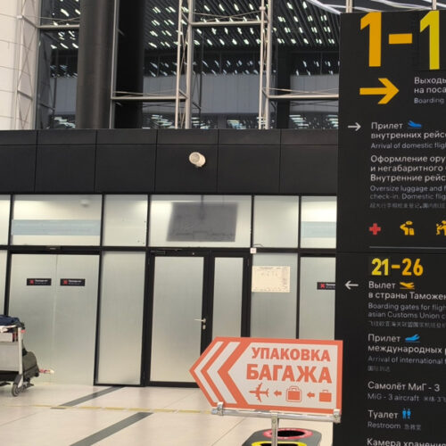 аэропорт Толмачево