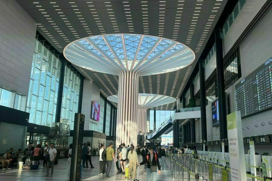 Азия взлетела: поездки из Новосибирска во Вьетнам и Японию выросли в разы в 2025 году