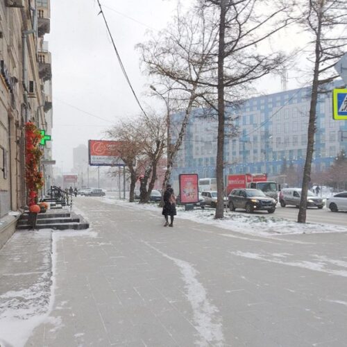 Сборы по налогу на совокупный доход просели в Новосибирской области