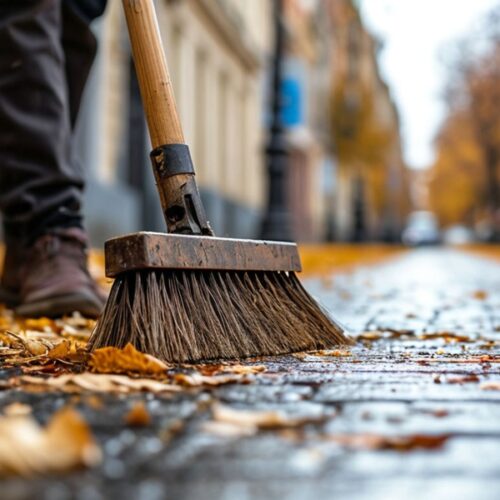 Айтишник из Индии работает уборщиком в России