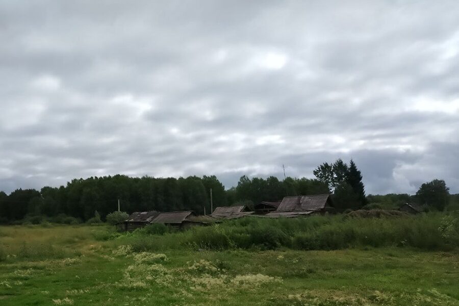 С карты Новосибирской области за год исчезли восемь деревень