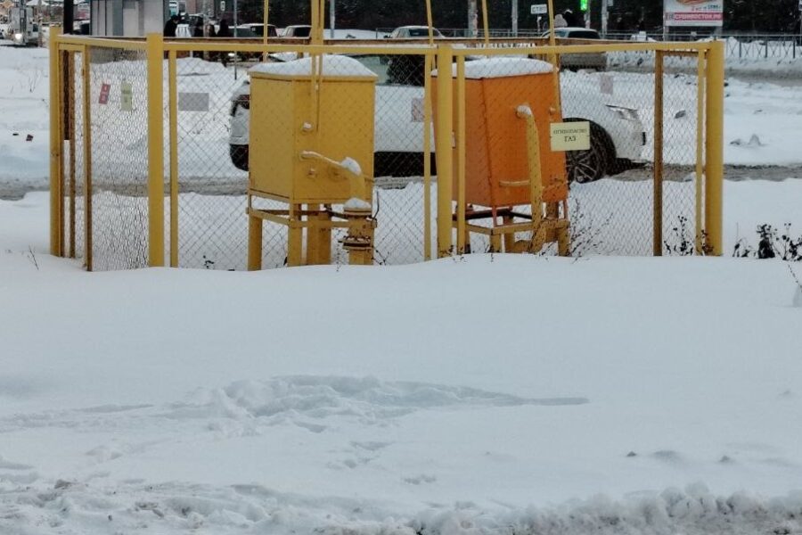 Новосибирцы пожаловались Путину на дефицит газа