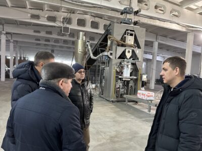 Всего четыре месторождения торфа разрабатываются в Новосибирской области