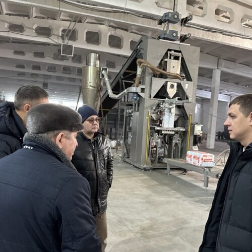 Всего четыре месторождения торфа разрабатываются в Новосибирской области