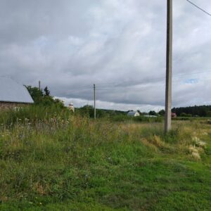 «У них на землю свои планы»: предоставлению участков новосибирским льготникам препятствует власть на местах