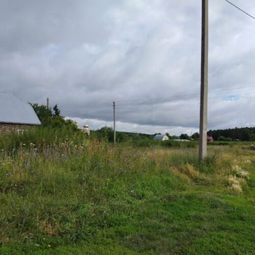 «У них на землю свои планы»: предоставлению участков новосибирским льготникам препятствует власть на местах