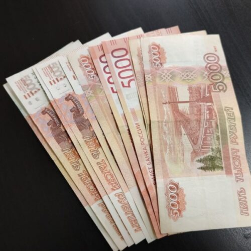 Поддельные купюры на 130 тысяч рублей обнаружили в Новосибирской области