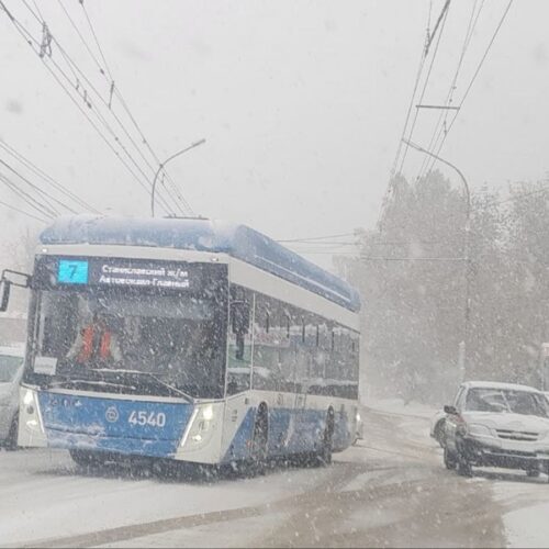 Около 40% водителей в Новосибирске не покупают полис ОСАГО