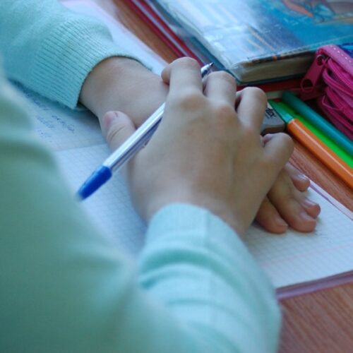 Дети мигрантов пошли на подготовительные курсы в школы Новосибирска