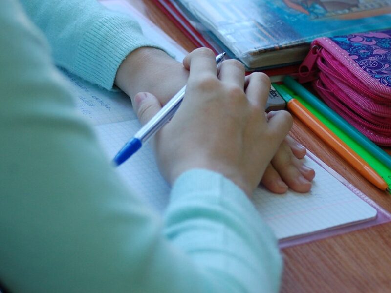 Дети мигрантов пошли на подготовительные курсы в школы Новосибирска Дети мигрантов пошли на подготовительные курсы в школы Новосибирска