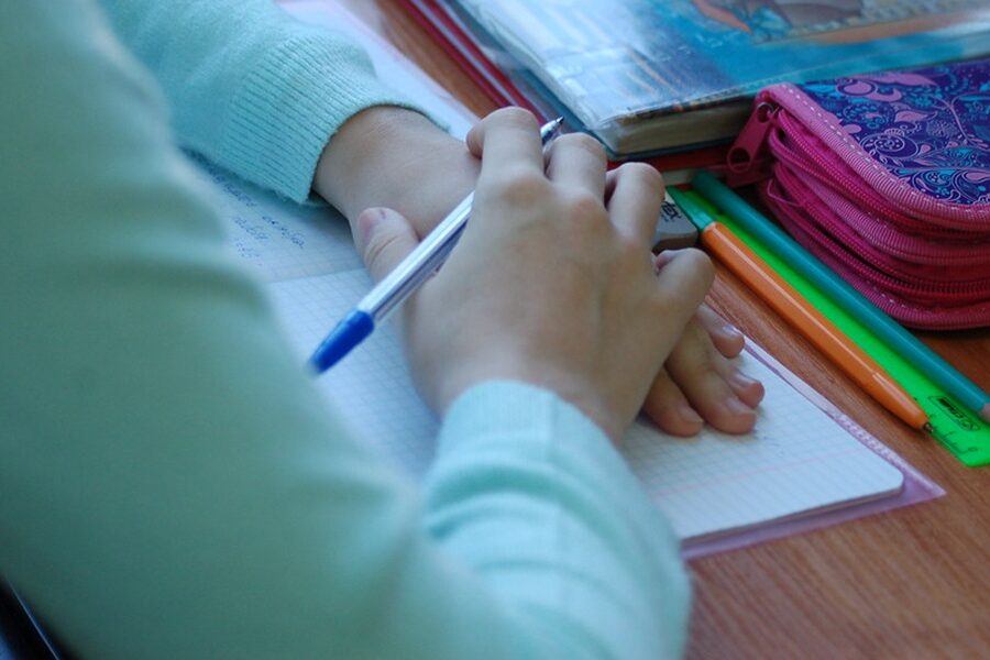 Дети мигрантов пошли на подготовительные курсы в школы Новосибирска