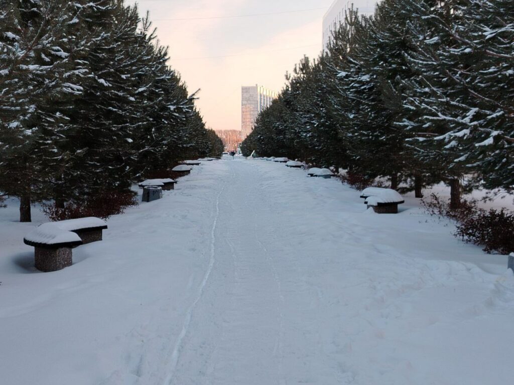 В самую длинную ночь в году в Новосибирской области ожидается до -37 градусов