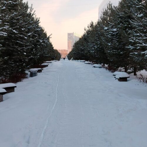 В самую длинную ночь в году в Новосибирской области ожидается до -37 градусов