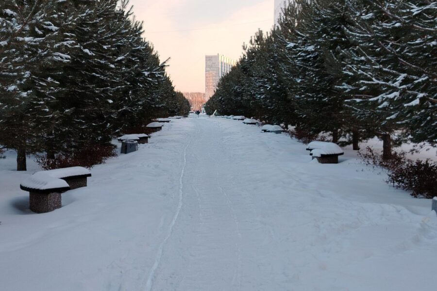 В самую длинную ночь в году в Новосибирской области ожидается до -37 градусов