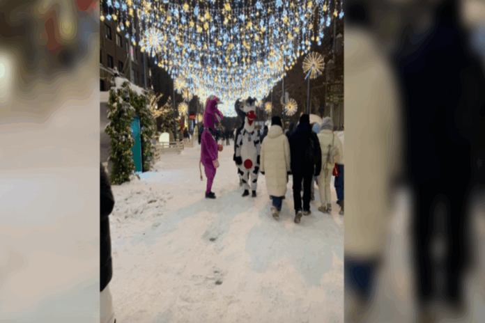 На улице Ленина в Новосибирске в праздники действовали аниматоры-аферисты На улице Ленина в Новосибирске в праздники действовали аниматоры-аферисты