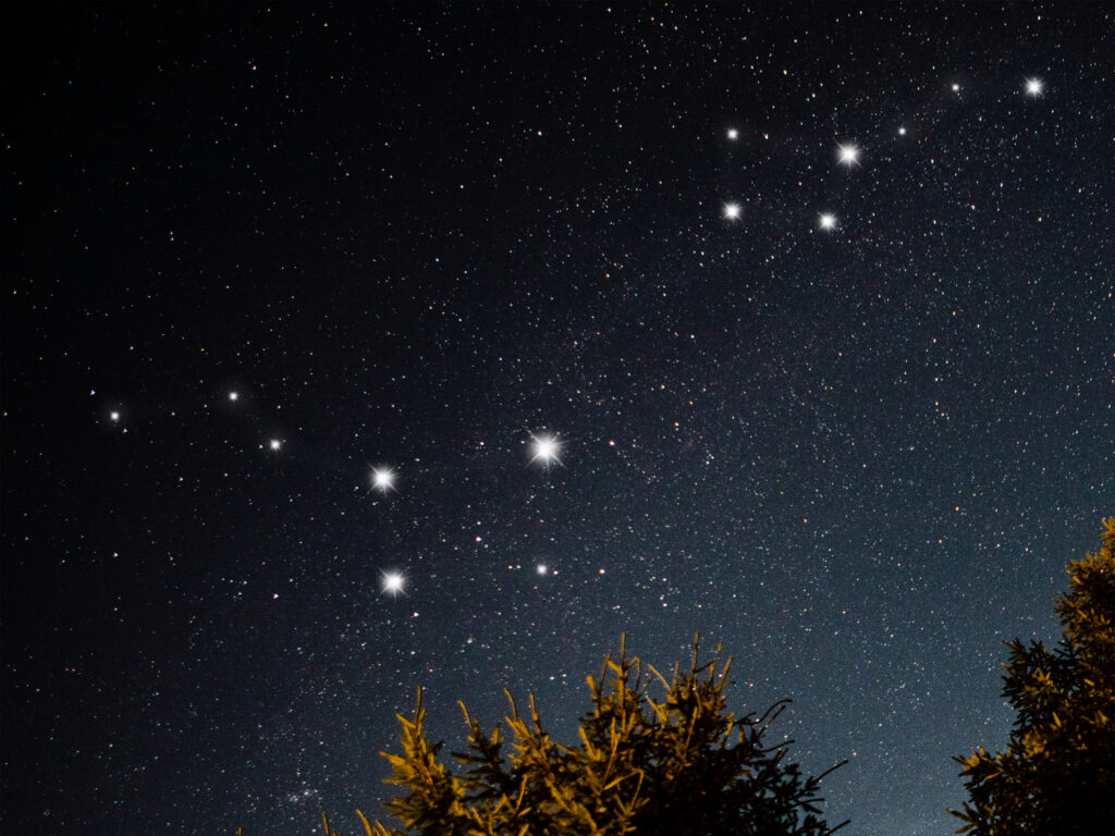 Новосибирцы с февраля смогут наблюдать за кометой с огромным пылевым хвостом