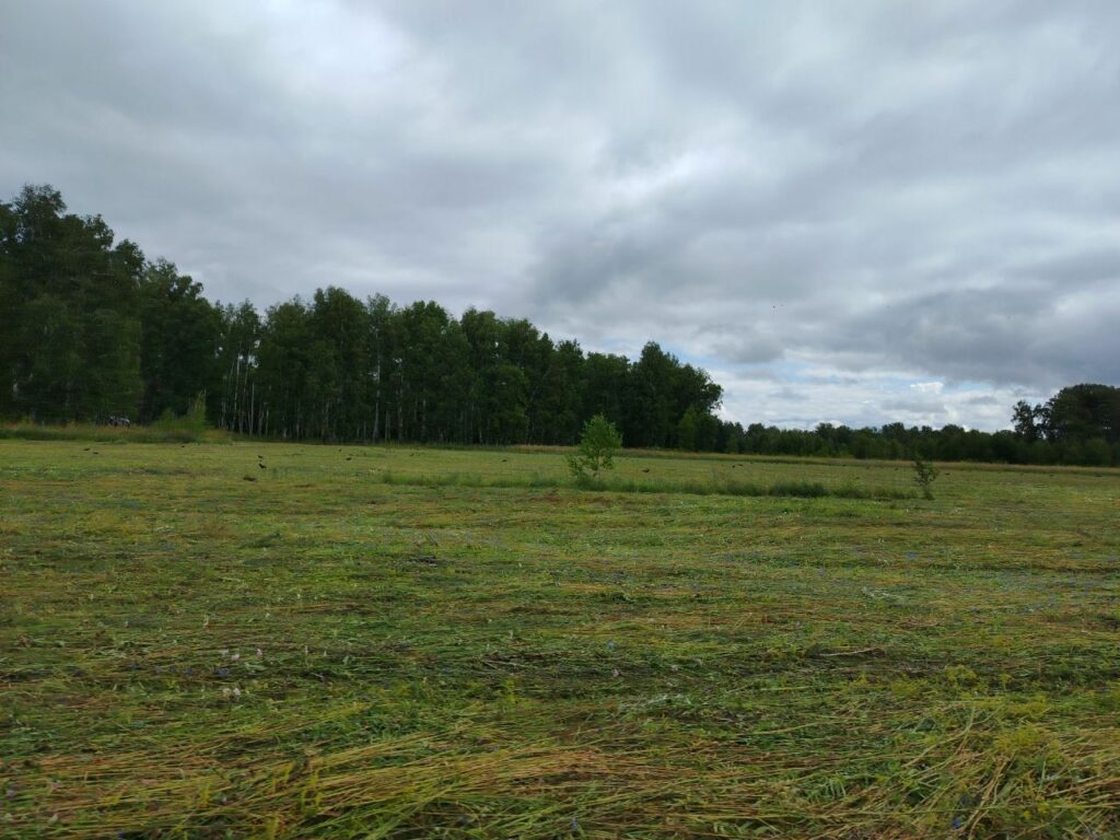 Мобильная связь в Инюшенском бору стала лучше