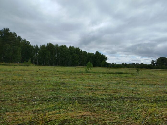 Мобильная связь в Инюшенском бору стала лучше