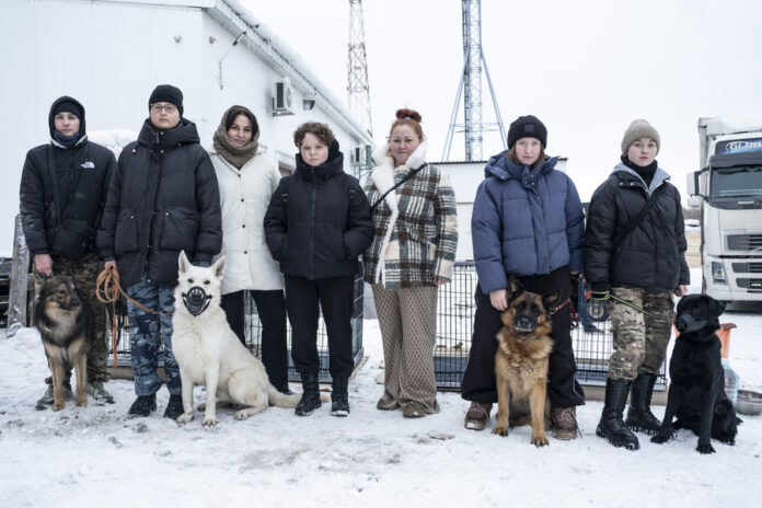 Четыре подготовленные новосибирскими кинологами собаки отправлены в зону СВО