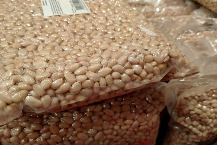 Новосибирская область экспортировала 88 тонн кедровых орехов