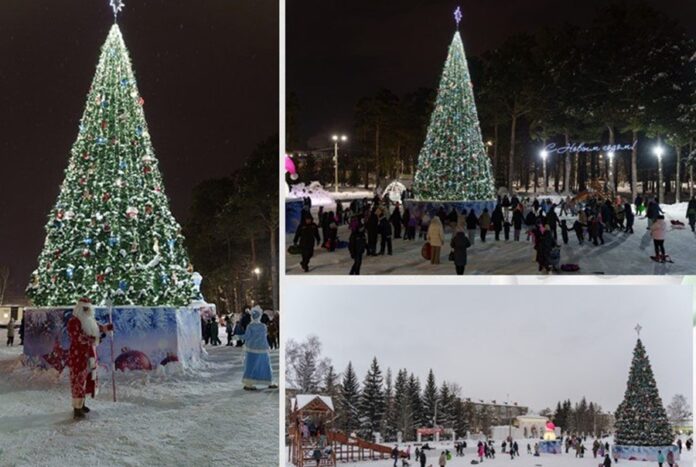 Ёлка из Новосибирской области борется за победу во всероссийском конкурсе