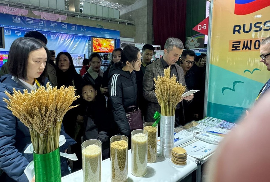 В Корее нет понятия свободного оборота товаров