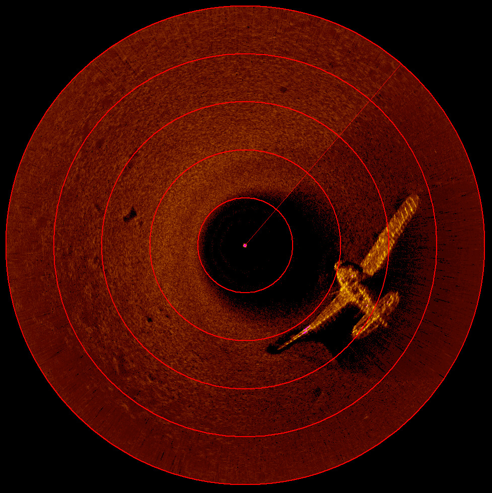 Самолет на экране сонара