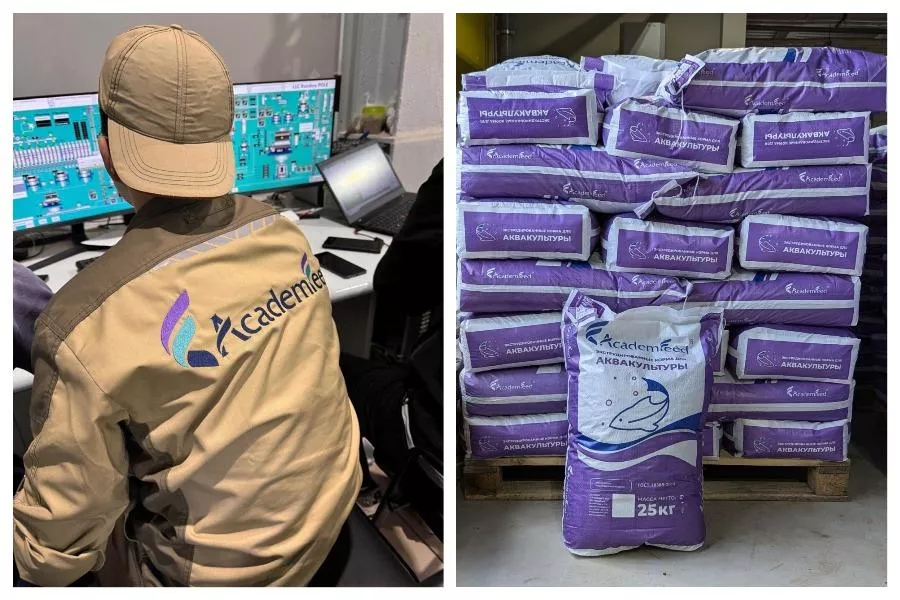 Производство кормов для аквакультуры под Новосибирском запустят весной