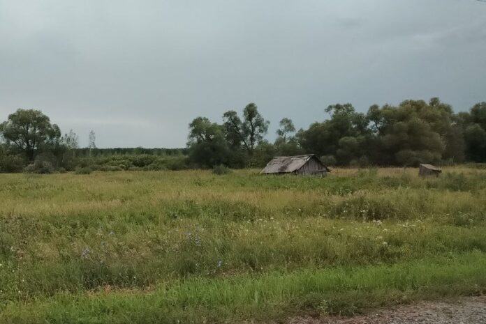 Три населенных пункта исчезли с карты Новосибирской области