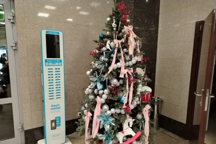 Сбор елей на утилизацию стартует 13 января в Новосибирске