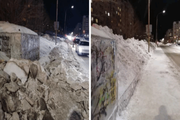 В Новосибирске грязный снег начали вывозить на озеленённые территории