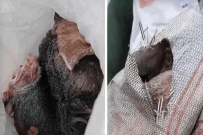 На Хилокской в Новосибирске снова обнаружены опасные биологические отходы