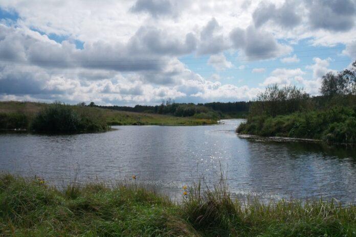 Новосибирские бизнесмены подали 15 заявок на аренду водоемов под рыбоводство