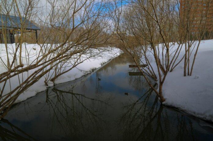 В этом году в Новосибирске обещают запустить парк Каменка