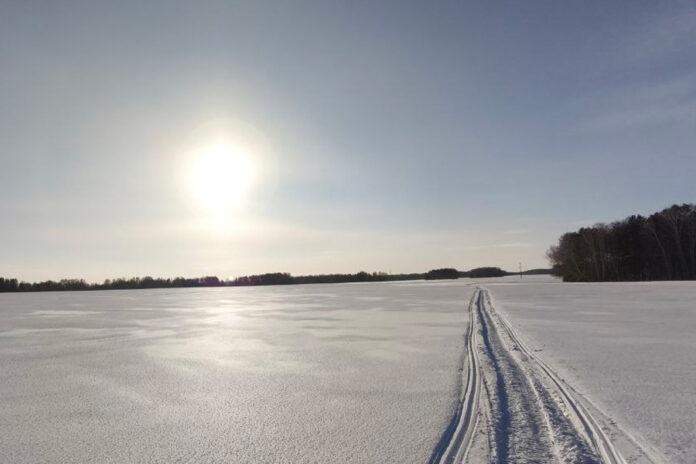 зимнее поле