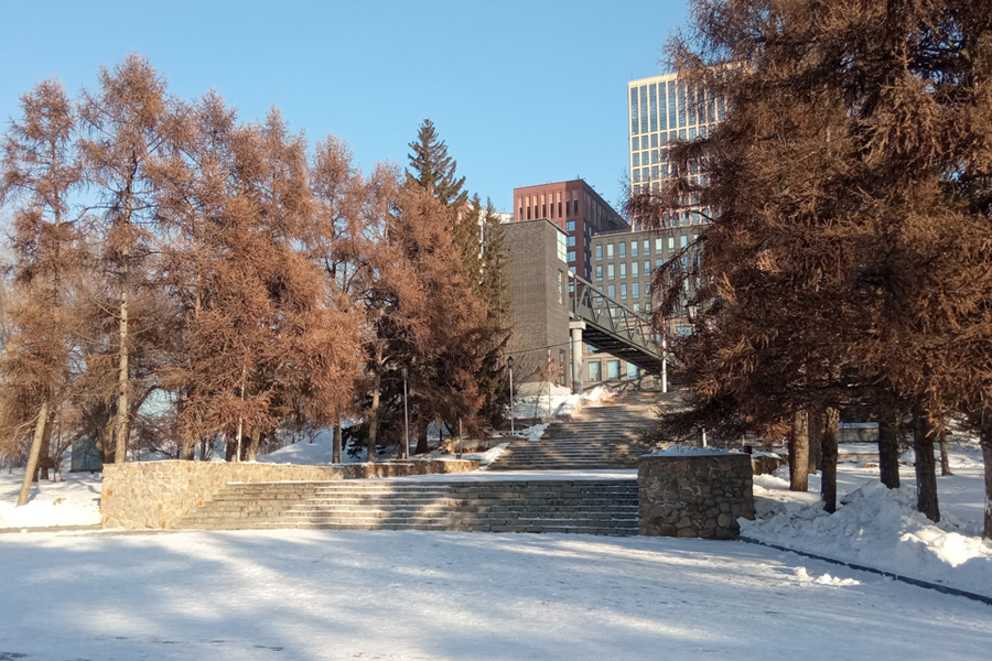 Жители Новосибирска готовятся к мартовским переменам в законах