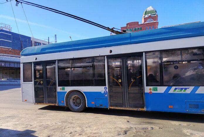 Власти Новосибирска не хотят монополизировать рынок общественного транспорта