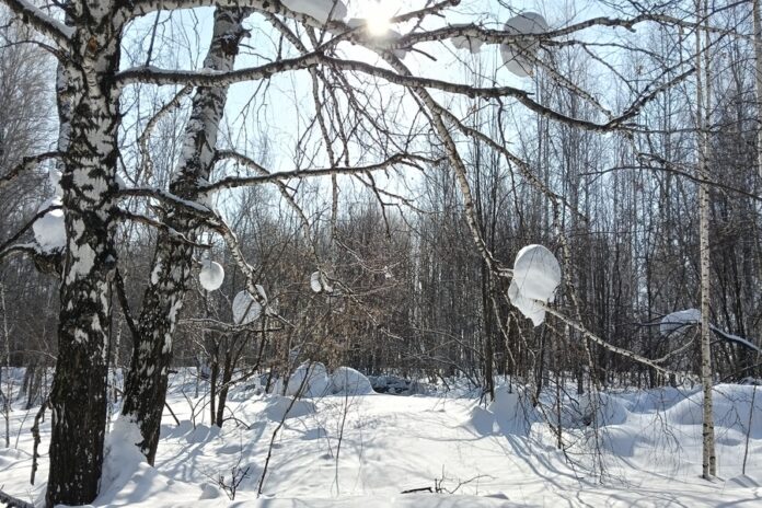 Конец холодов близко: синоптики сообщили, когда в Новосибирске наступит потепление