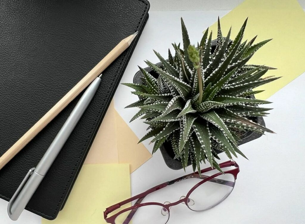 Как растения изменяют психологическое состояние человека