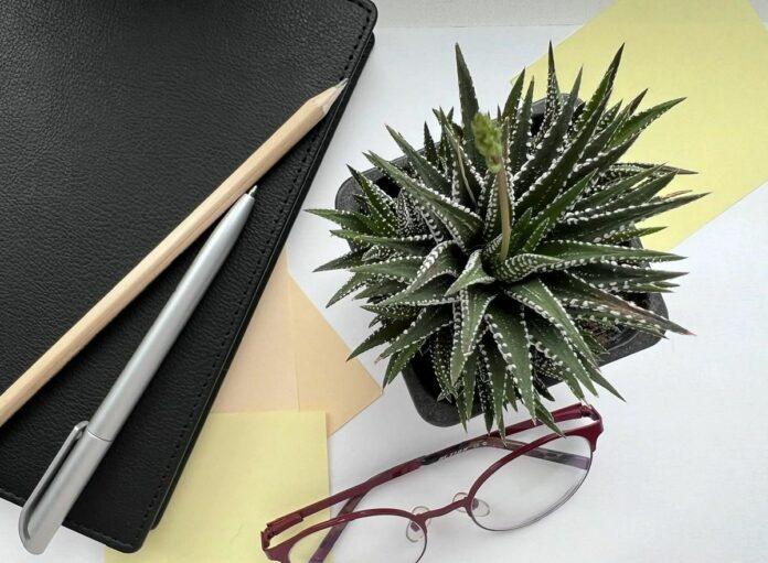 Как растения изменяют психологическое состояние человека