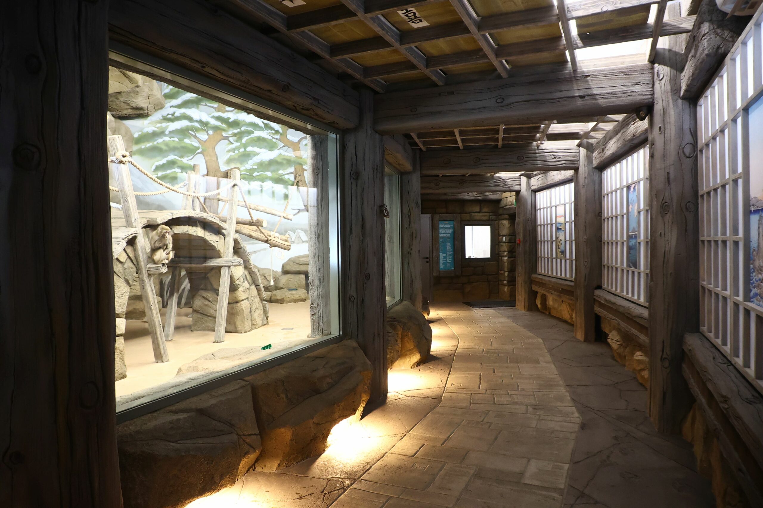 новые павильоны