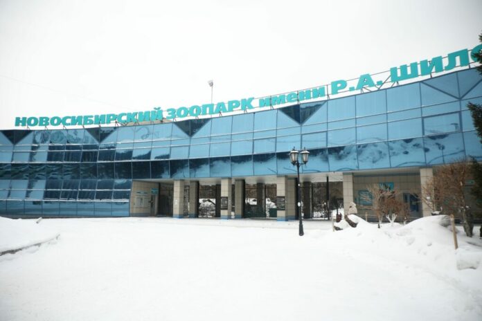 Новосибирский зоопарк отправил животных в Индию Новосибирский зоопарк отправил животных в Индию