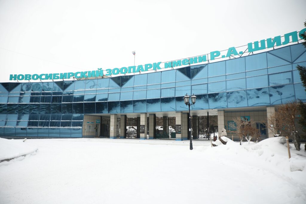 Новосибирский зоопарк отправил животных в Индию