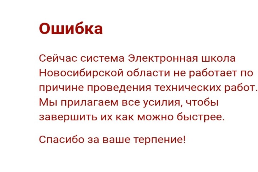 Жители Новосибирска жалуются на проблемы с доступом к электронным дневникам
