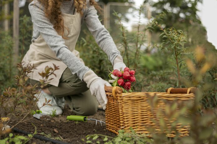 Инфекции под солнцем: как обезопасить себя на даче Инфекции под солнцем: как обезопасить себя на даче