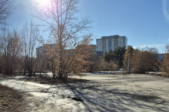 В Новосибирске стартовало обсуждение второй очереди сквера на Демакова Сквер на Демакова